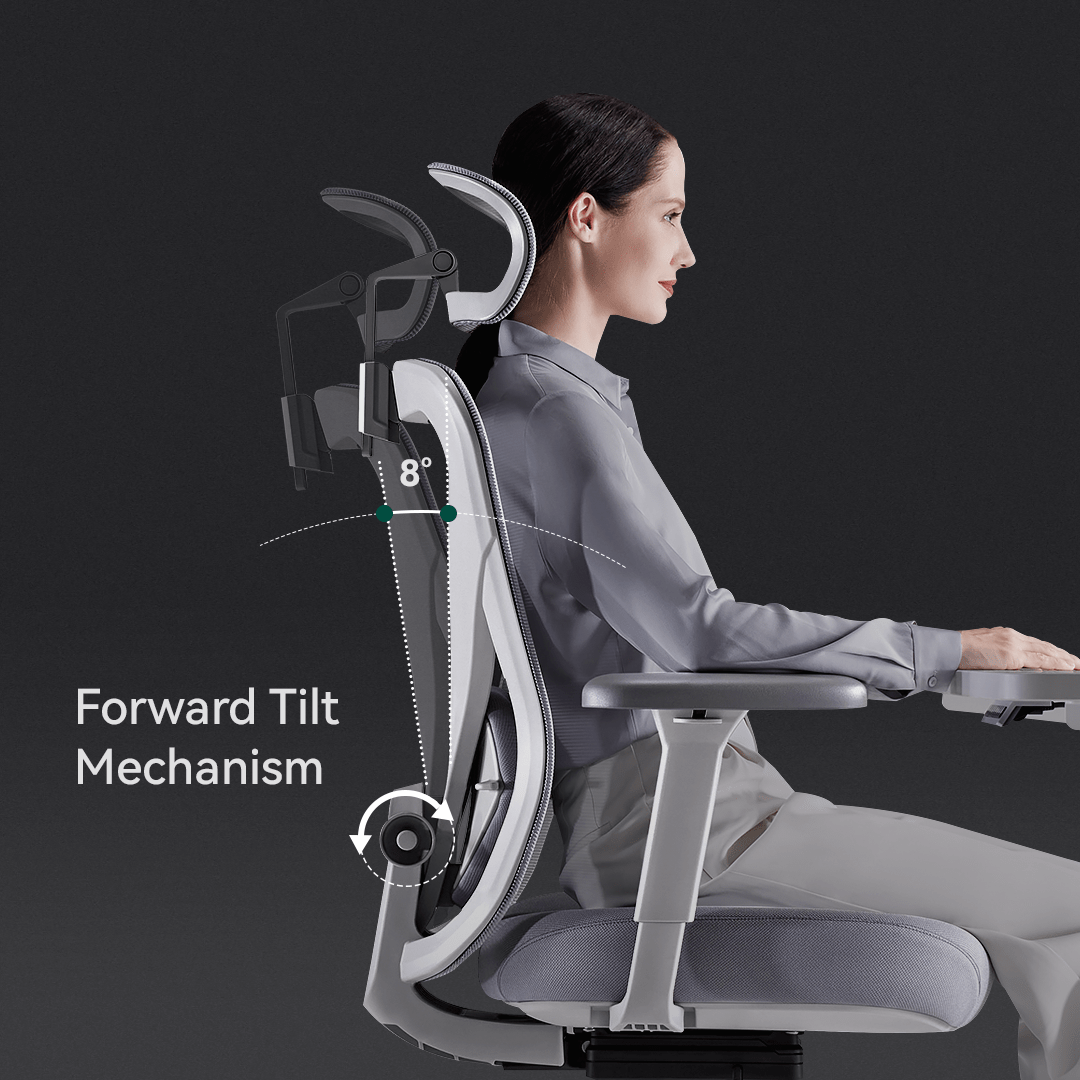 HINOMI Q1 Ergonomic Office Chair