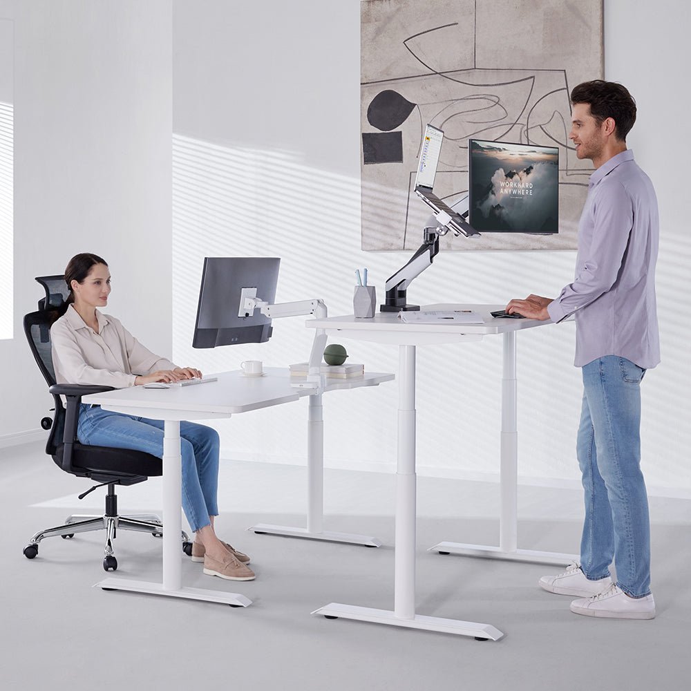 HINOMI S1 Home Office Standing Desk