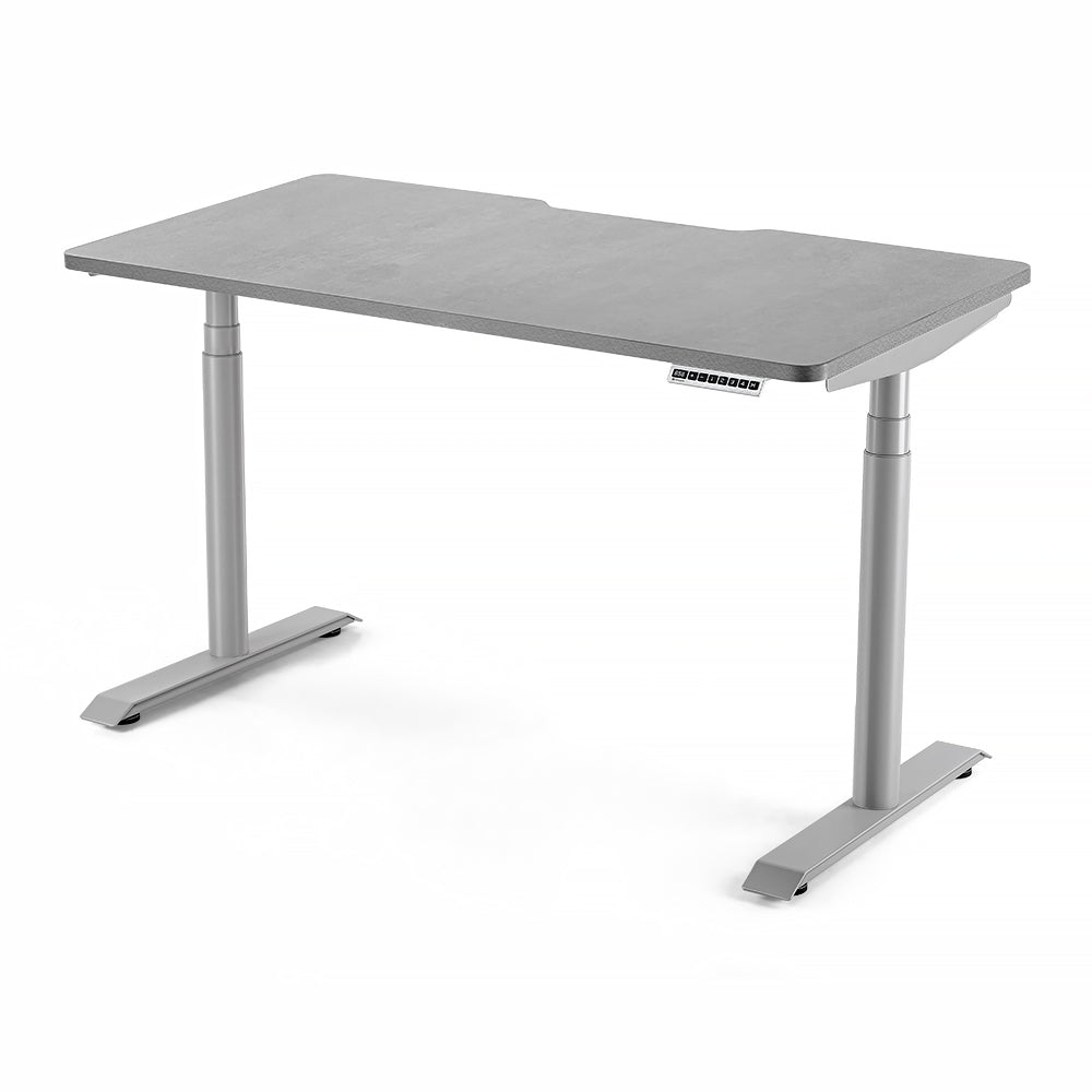 HINOMI S1 Home Office Standing Desk