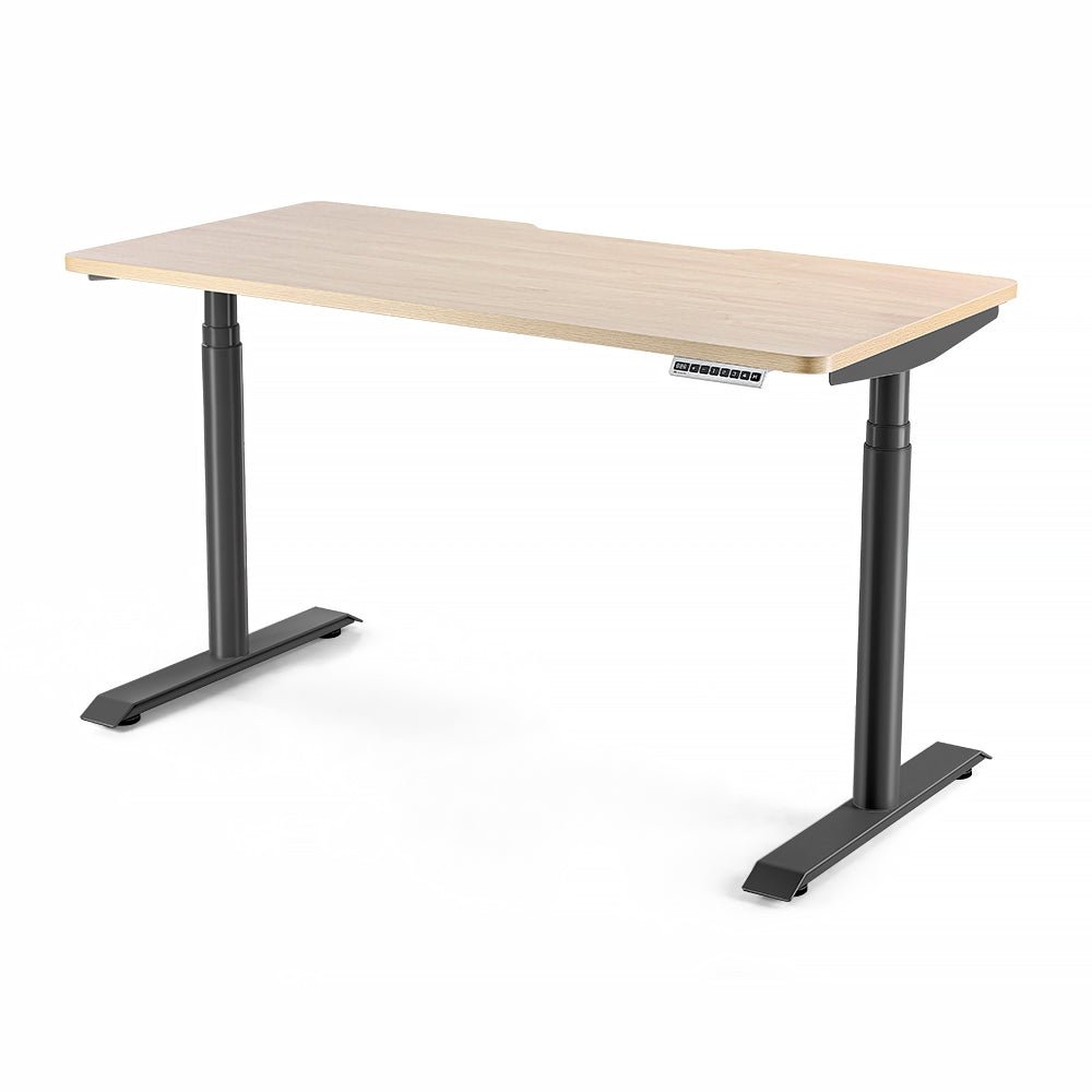 HINOMI S1 Home Office Standing Desk