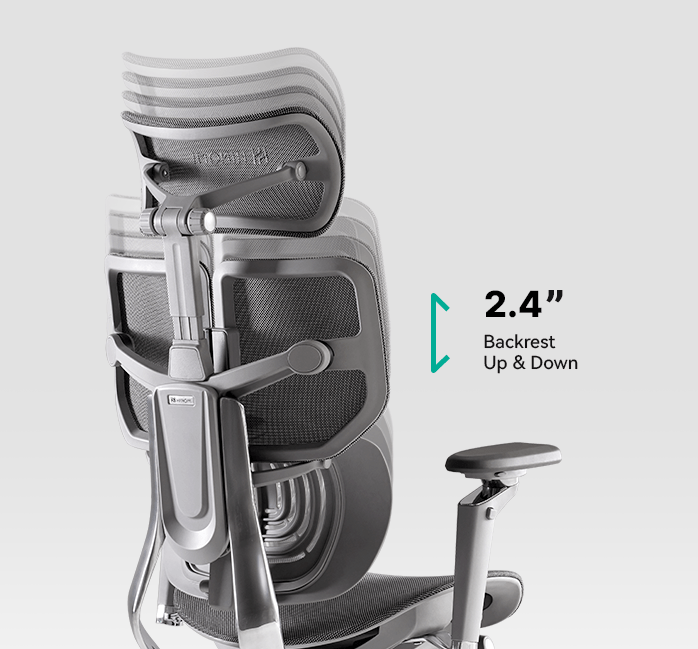 HINOMI X1 Ergonomic Office Chair