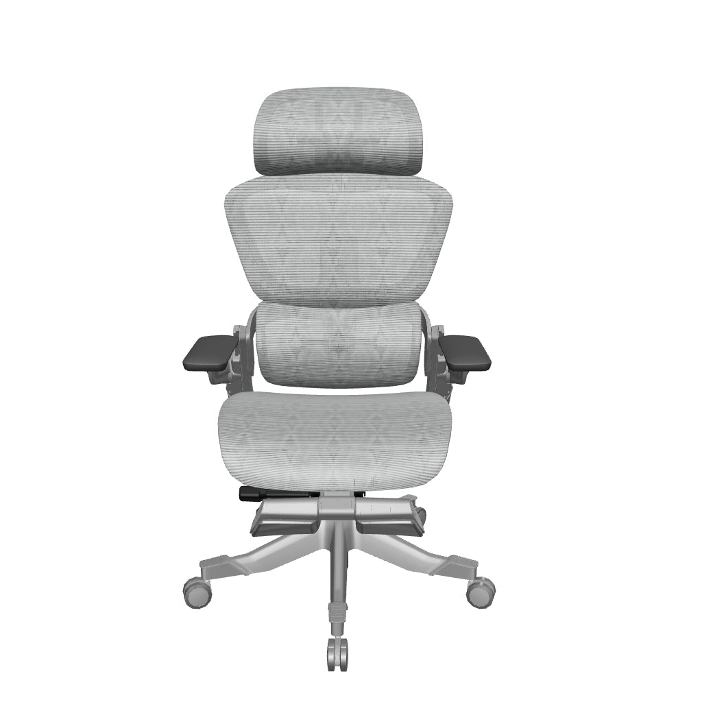 HINOMI H1 Pro Ergonomic Chair with Footrest